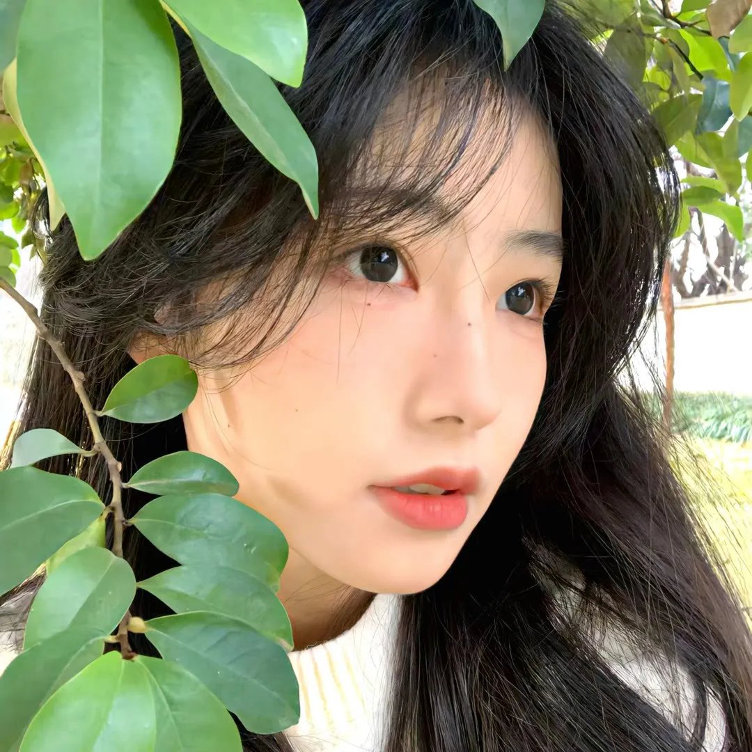 功夫少女吴温蒂